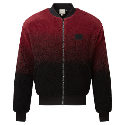 Pioneer Bomber