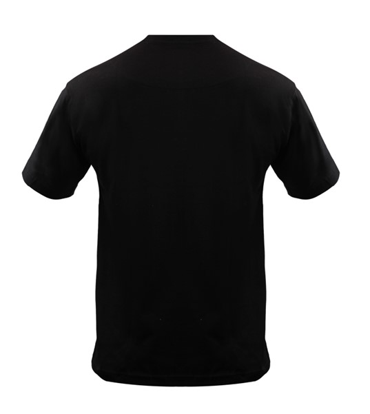 REMERA DE ALGODON PEINADO image number null