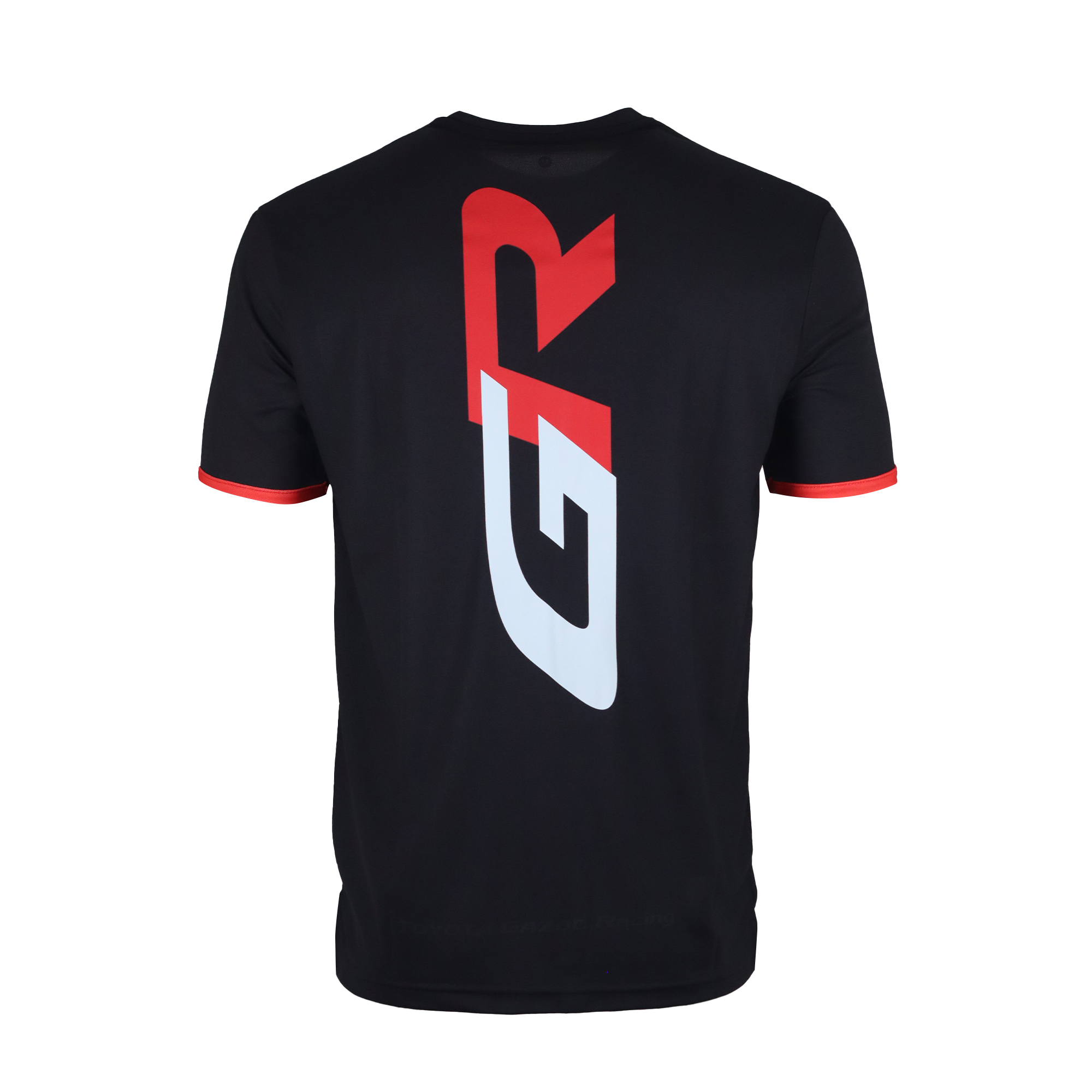 REMERA image number null