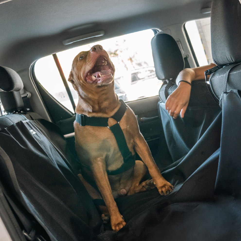 FUNDA AUTO MASCOTA, , large image number null